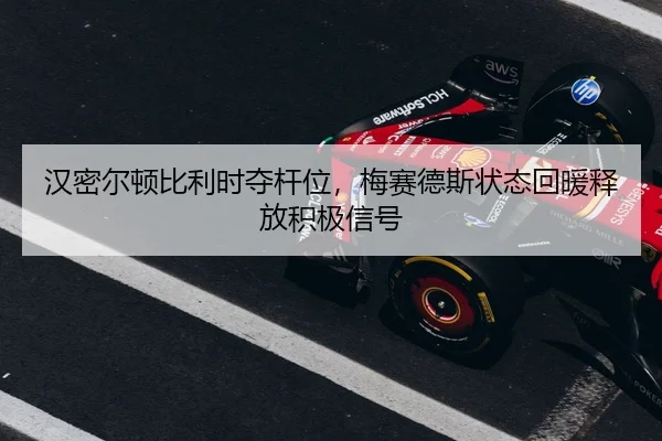 han-mi-er-dun-bi-li-shi-duo-gan-wei-mei-sai-de-si-zhuang-tai-hui-nuan-shi-fang-ji-ji-xin-hao-3-606.jpg