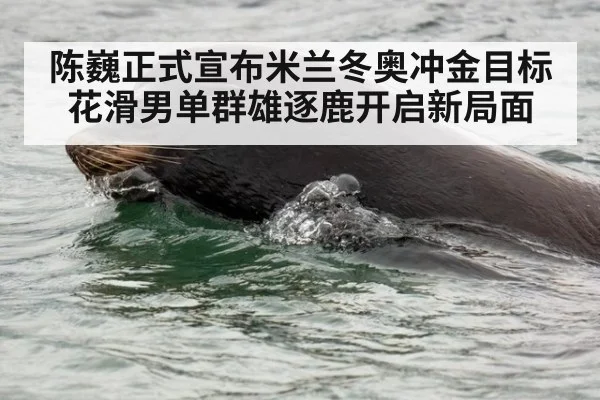 陈巍正式宣布米兰冬奥冲金目标花滑男单群雄逐鹿开启新局面