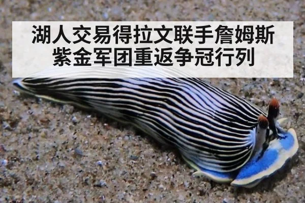 湖人交易得拉文联手詹姆斯 紫金军团重返争冠行列